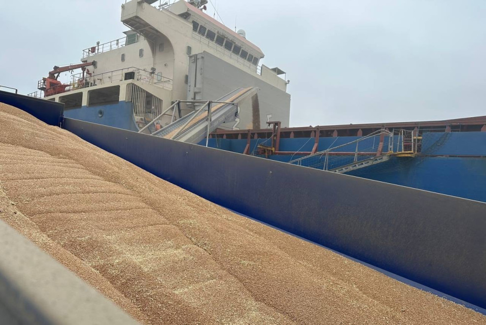 Агрохолдинг Agromino планирует продать зерновой терминал и склады в порту Черноморск